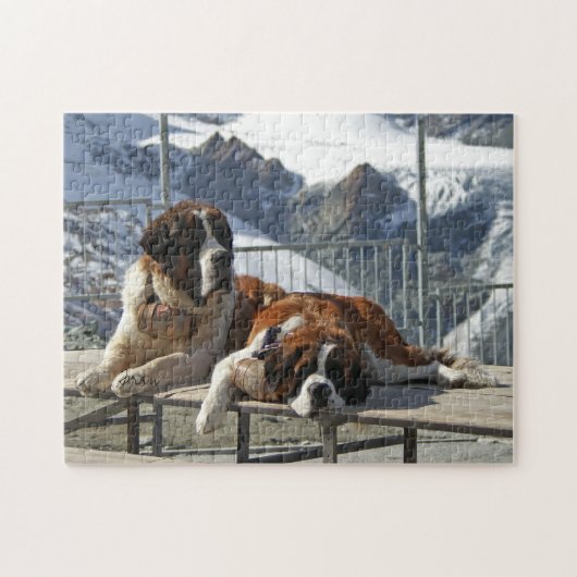 Puzzle Saint Bernard (Horizontal)