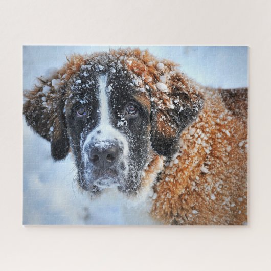 Puzzle Saint Bernard dans la neige (Horizontal)