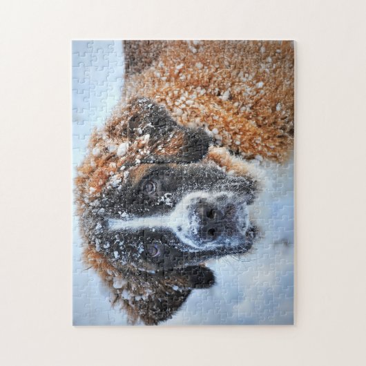 Puzzle Saint Bernard dans la neige (Vertical)