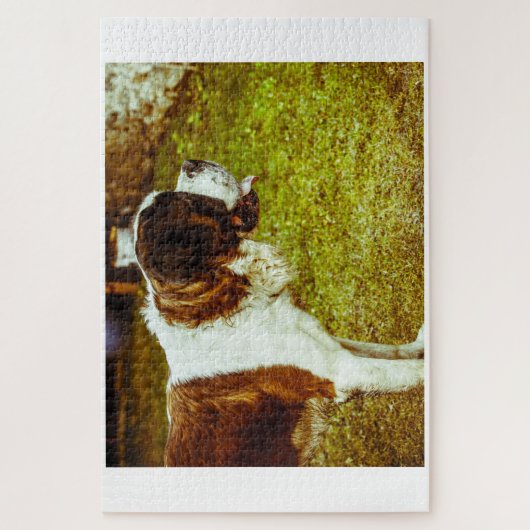 Puzzle Saint Bernard Dog Jigsaws. (Vertical)