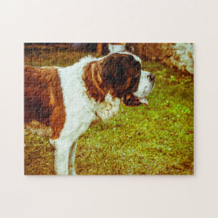 Puzzle Saint Bernard Dog Jigsaws.