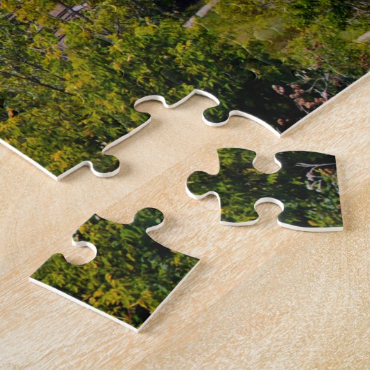 Puzzle Saint Paul Minnesota. (Côté)