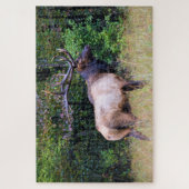 Puzzle Saison de chasse - Bull Elk - 20x30 pouces (Vertical)