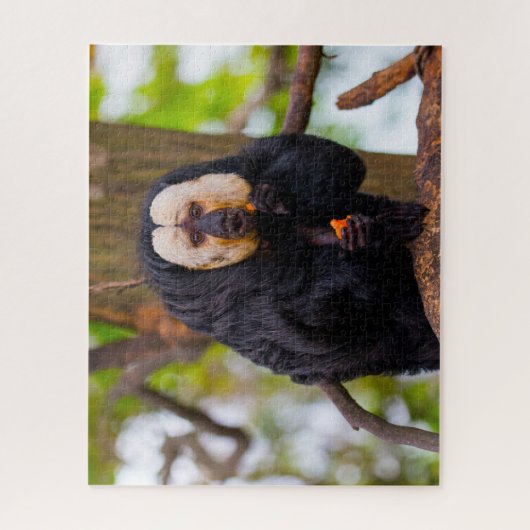 Puzzle Saki Singes. (Vertical)