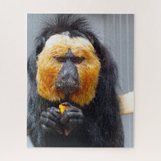 Puzzle Saki Singes. (Vertical)