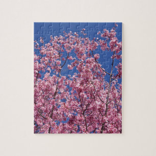 Puzzle Sakura Cerisiers en Fleur Dans Le Bleu