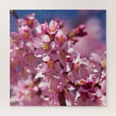 Puzzle Sakura Cherry Blossoms embrassés par Sunlight (Vertical)