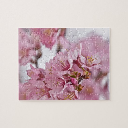 Puzzle Sakura Cherry Blossoms rose pâle (Horizontal)