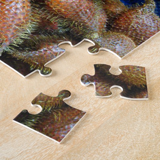 Puzzle Salak [Fruit de serpent] (Côté)