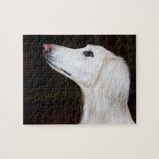 Puzzle Saluki recherchant (Horizontal)