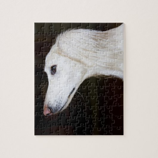 Puzzle Saluki recherchant (Vertical)