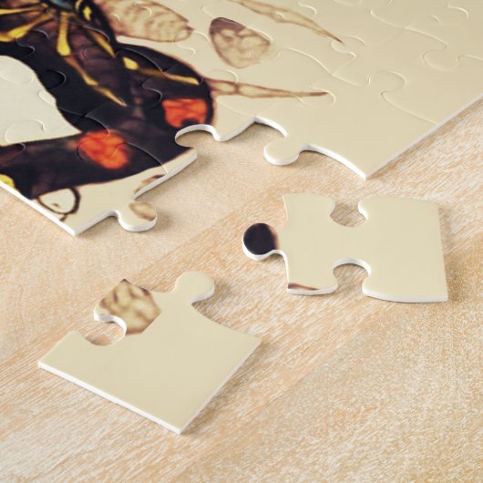 PUZZLE SAMURAI CHAUSSURES EN SKULL, SKELETON, TATOS BOUTT (Côté)