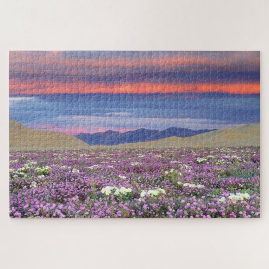 Puzzle Sand Verbena & Dune Primrose Fleurs sauvages au co (Horizontal)