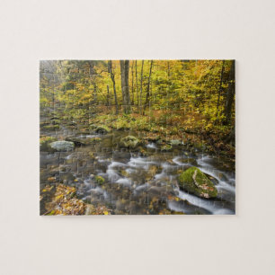 Puzzle Sanderson Brook. Forêt d'État de Chester-Blanford.