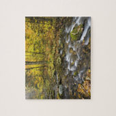 Puzzle Sanderson Brook. Forêt d'État de Chester-Blanford. (Vertical)