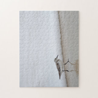 Puzzle Sandpiper Shorebird Beach House