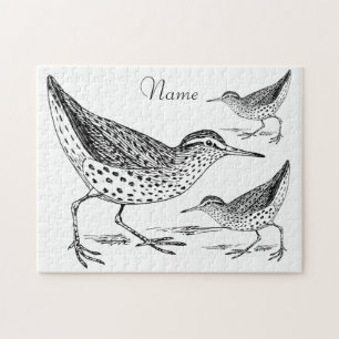 Puzzle Sandpiper Shorer Thunder_Cove