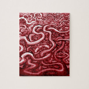 Puzzle Sang et intestins