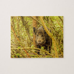 Puzzle Sanglier