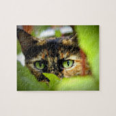 Puzzle Sasha (Horizontal)