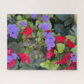 Puzzle  Sauge rouge et agératum violet, Québec  (Horizontal)