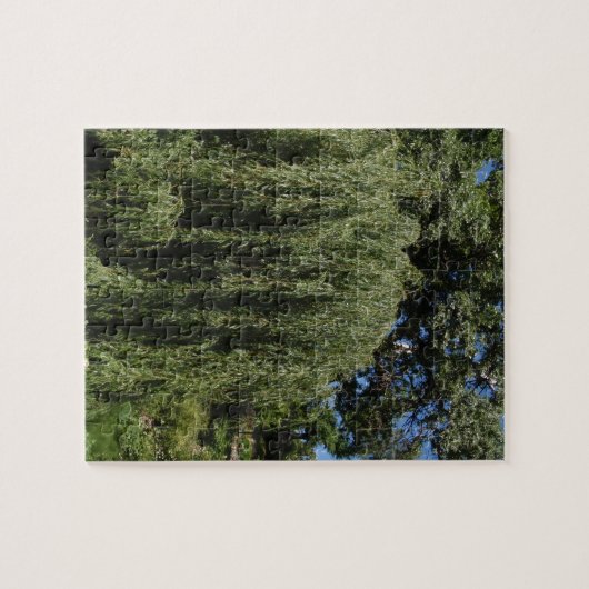 Puzzle Saule pleurant (Horizontal)