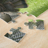 Puzzle sauvage de la Turquie (Côté)