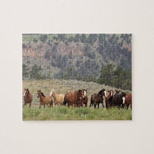 Puzzle sauvage de mustang avec la boîte-cadeau (Horizontal)