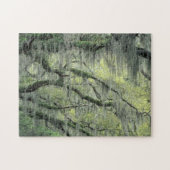 Puzzle Savannah, Géorgie, chêne vivant drapé de (Horizontal)