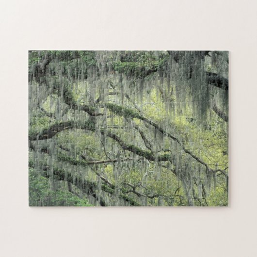 Puzzle Savannah, Géorgie, chêne vivant drapé de (Horizontal)