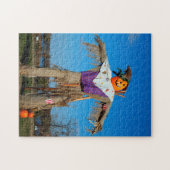 Puzzle Scarecrow Minnesota. (Horizontal)