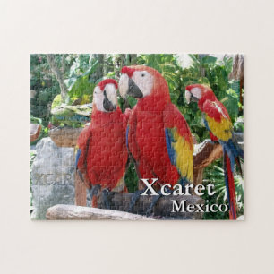 Puzzle Scarlet Macaws