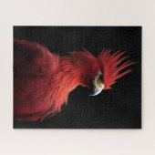Puzzle Scarlet Phoenix Est Fière (Horizontal)
