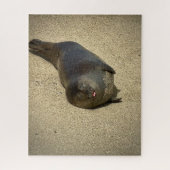 Puzzle Sceau azy (Vertical)