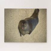 Puzzle Sceau azy (Horizontal)