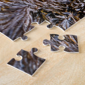 Puzzle Sceau tranquille au bord du rivage (Côté)