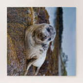 Puzzle Sceau tranquille au bord du rivage (Horizontal)