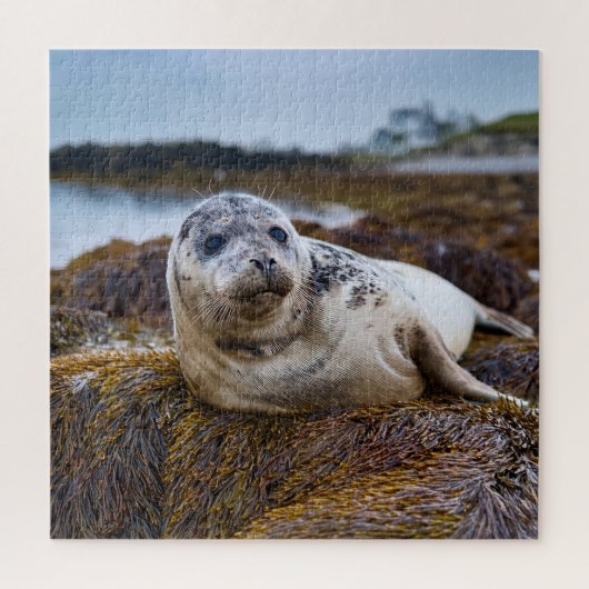 Puzzle Sceau tranquille au bord du rivage (Vertical)