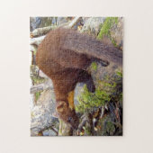 Puzzle Scène charmante de forêt de pins avec martres (Vertical)