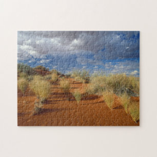 Puzzle Scène du désert du Kalahari, Kgalagadi Transfronti