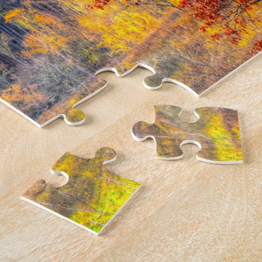 Puzzle Scène Forêt Wisconsin. (Côté)