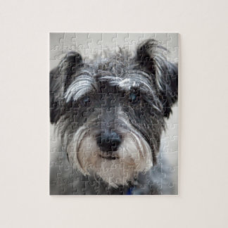 Puzzle Schnauzer