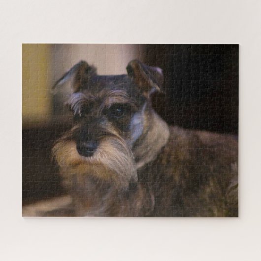Puzzle Schnauzer Dog Jigsaws. (Horizontal)
