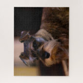 Puzzle Schnauzer Dog Jigsaws. (Vertical)