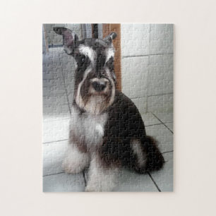 Puzzle Schnauzer Miniature assise noir et argent