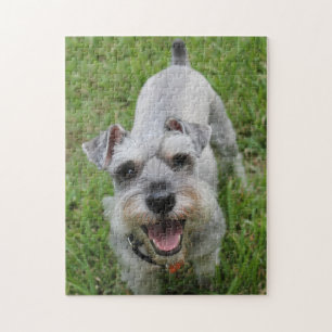 Puzzle Schnauzer miniature souriant