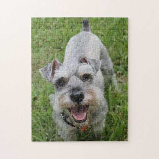 Puzzle Schnauzer miniature souriant (Vertical)