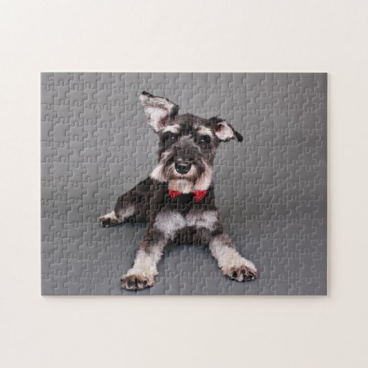 Puzzle Schnauzer - Tom Dooley (Horizontal)