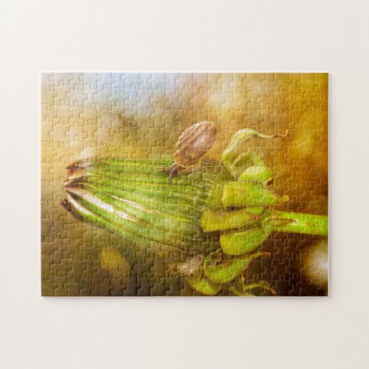 Puzzle Schnecke auf Wanderung ... (Horizontal)