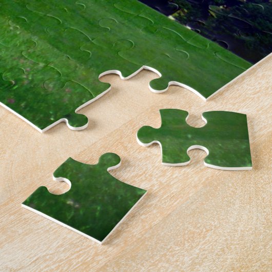 Puzzle schönbrunn vienna (Côté)